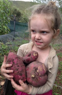 Feeding your child vs nourishing your child (Part 1)