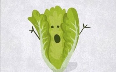 Silly Season Survival