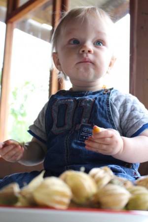Feeding your child vs nourishing your child (part 2)