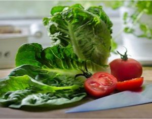 Foundational nutrition plan