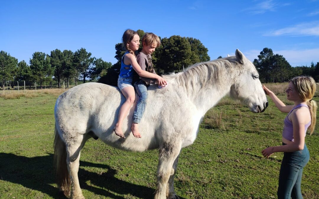 My greatest teachers – children.