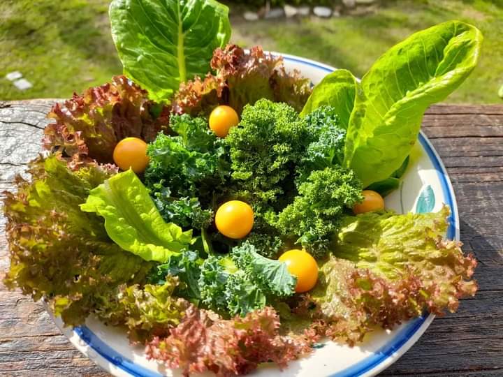 Garden gifts
